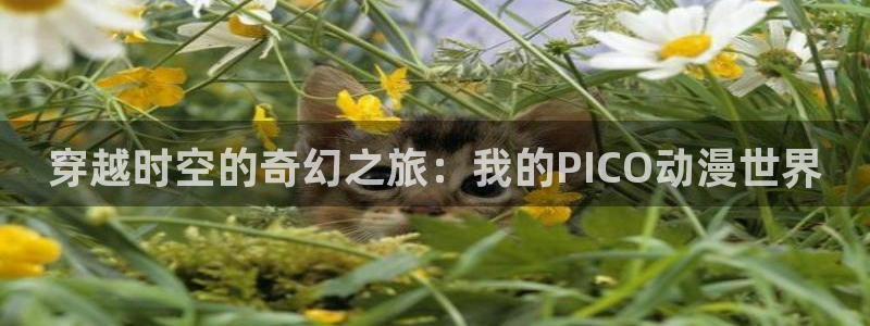 日本里番动漫排行榜：穿越时空的奇幻之旅：我的PICO动漫世界