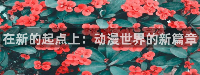 旧里番动漫网：在新的起点上：动漫世界的新篇章