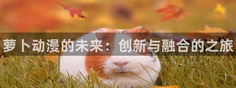 深夜里番动漫：萝卜动漫的未来：创新与融合的之旅